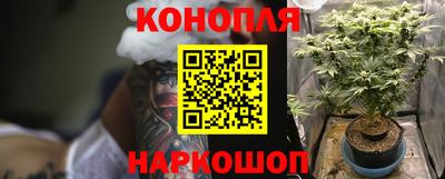 mix Будённовск